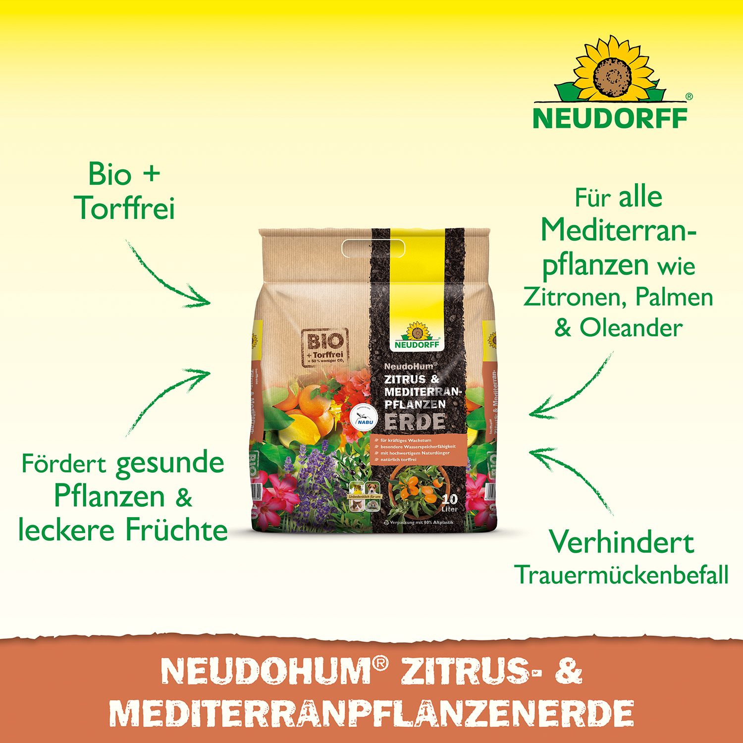 NeudoHum Zitrus- & MediterranpflanzenErde 10 L Torffreie BioErde für kräftiges Wachstum