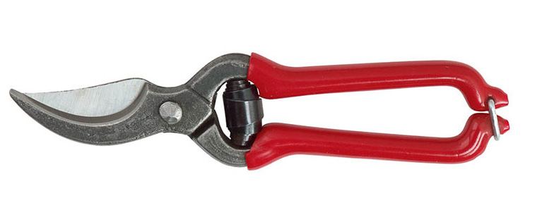 Robert-Klaas Blumen- und Gartenschere Spezialstah