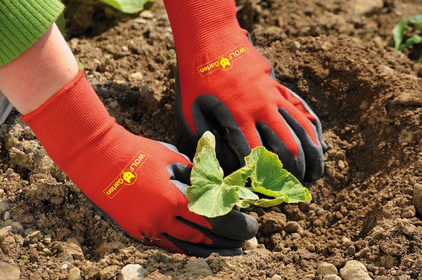WOLF-Garten GH-BO Größe 8 Beet-Handschuh robuste Pflanz- & Grabhandschuhe