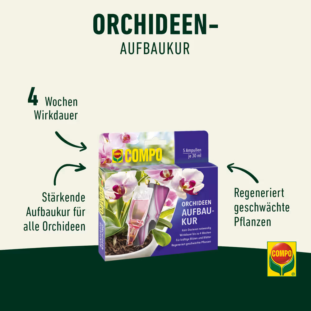 COMPO Orchideen-Aufbaukur 5x30ml Regeneration & Stärkung für geschwächte Orchideen