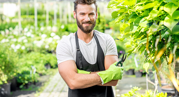 Das kostet dein neuer Traumgarten