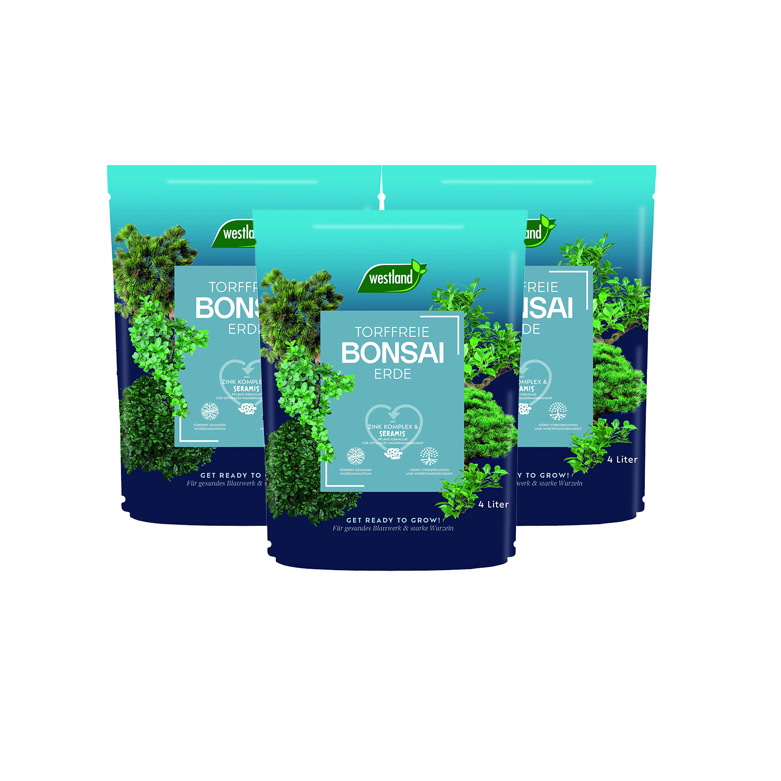 Westland Bonsai Erde 4L Spezialerde 3er-Pack optimale Drainage gesunde Wurzeln