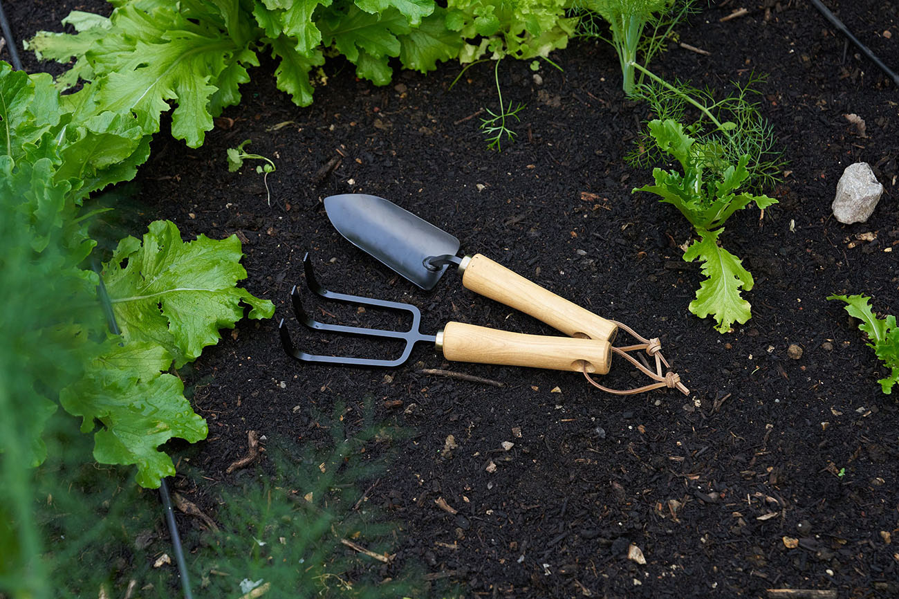 Niwaki Moku Cultivator Small - 23,5 cm lang Handkultivator aus Kohlenstoffstahl