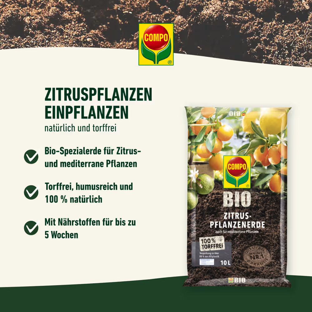 COMPO BIO Zitruspflanzenerde torffrei 10 l für Zitrus- u. mediterrane Pflanzen