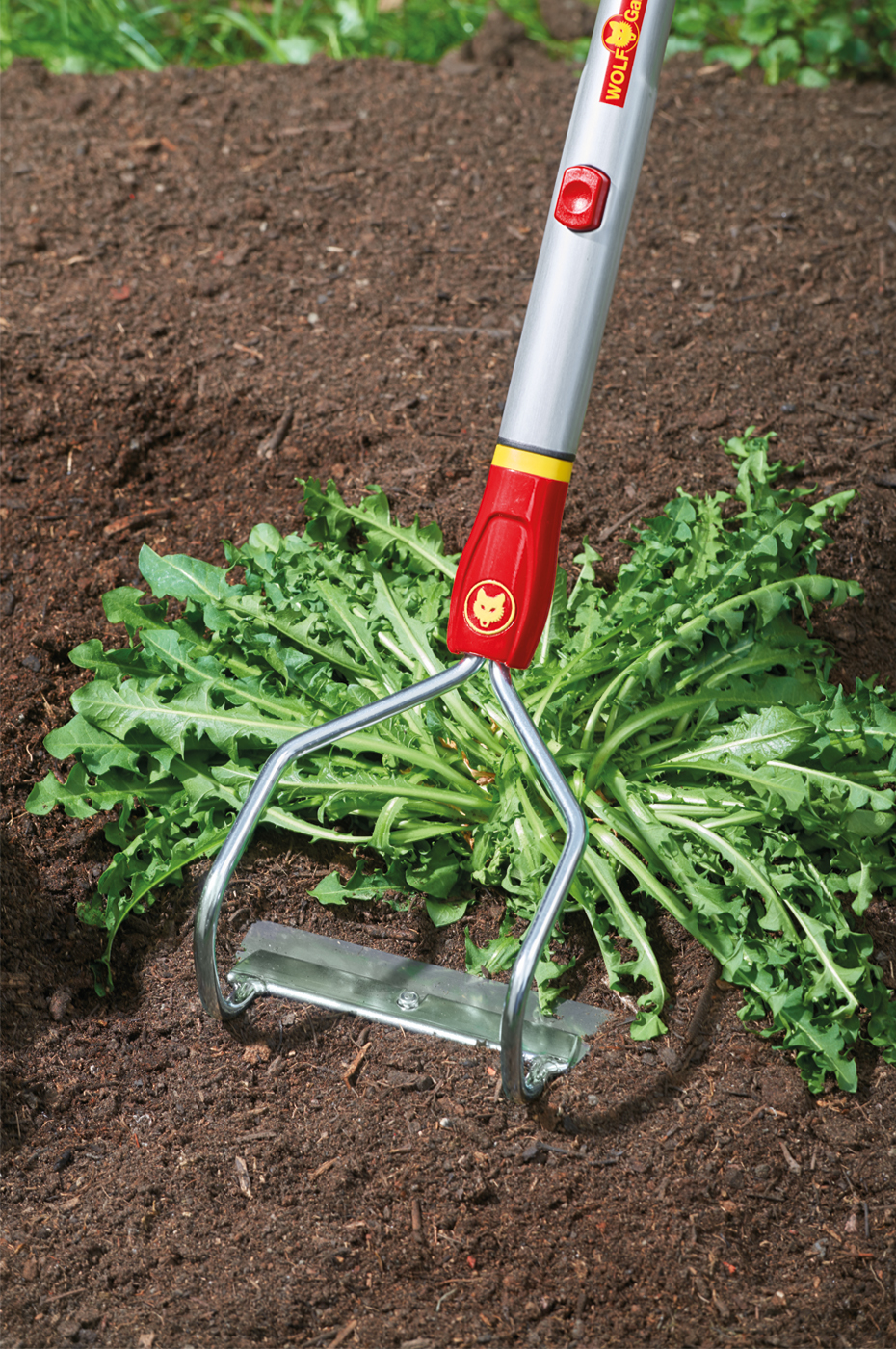 WOLF-Garten multi-star HO-M Bügeljäter 15 cm mit Pflanzenschutzbügel