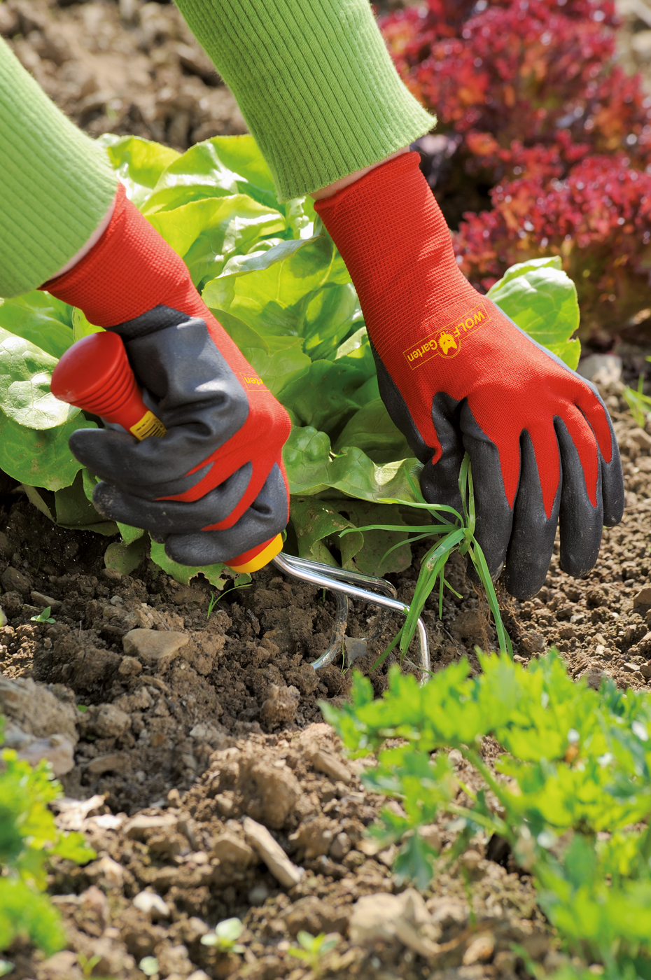 WOLF-Garten GH-BO Größe 10 Beet-Handschuh robuste Pflanz- & Grabhandschuhe