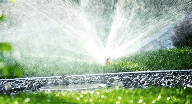 MaxGarten Bewässerungsratgeber