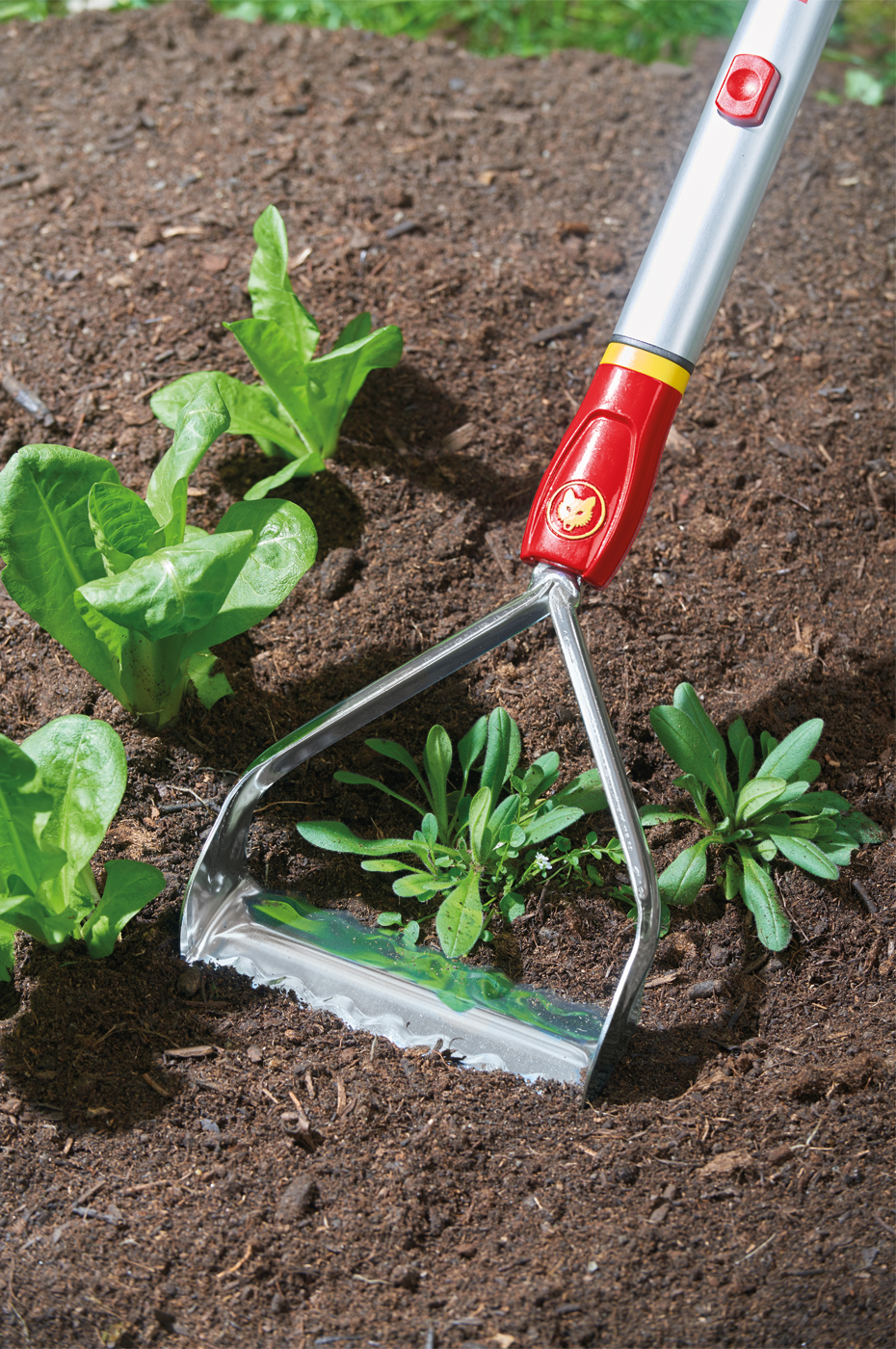 WOLF-Garten Unkrautkuli RF-M 15 cm für leichte Böden