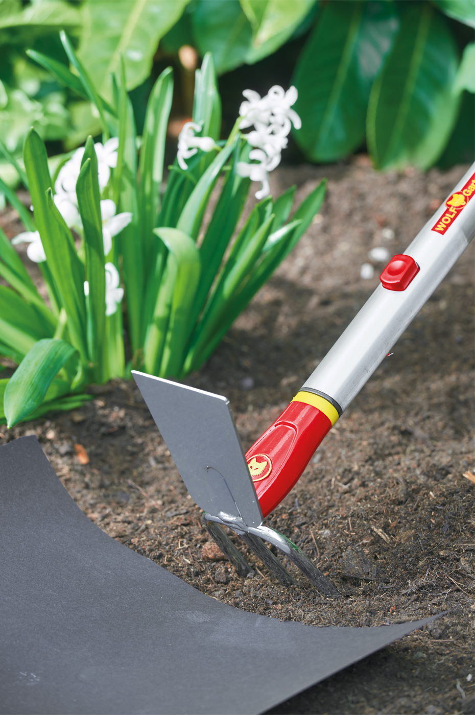 WOLF-Garten multi-star IL-M 3 Doppelhacke 8 cm Hacke & Bodenlockerer in einem