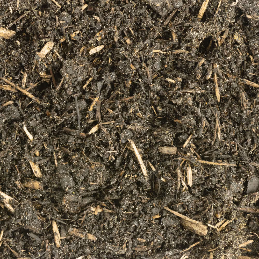 COMPO BIO Zitruspflanzenerde torffrei 10 l für Zitrus- u. mediterrane Pflanzen